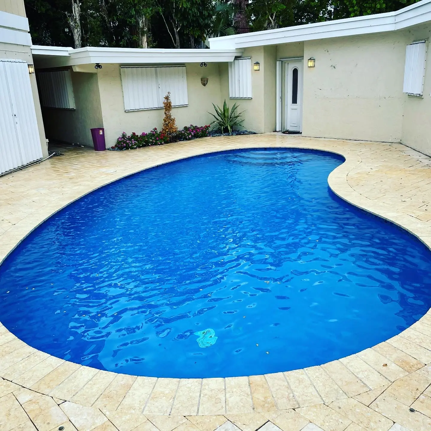 Sparkling blue residential pool with clean deck and manicured landscaping surrounding it - Aqua King Pool Services, Fort Lauderdale, FL