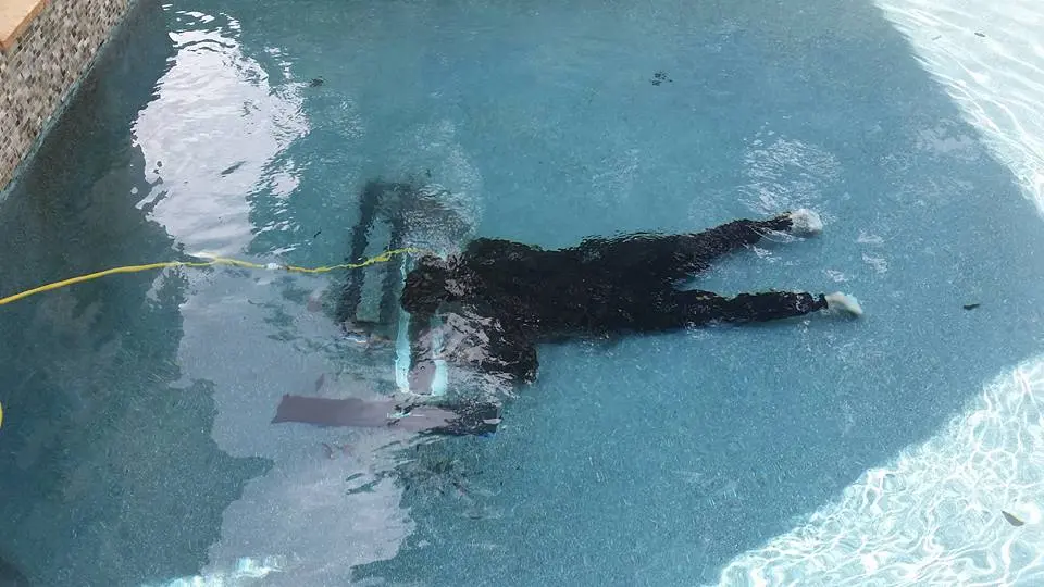 A diver in dark wetsuit performing underwater inspection in a swimming pool - Leak Wizard, Tampa, FL