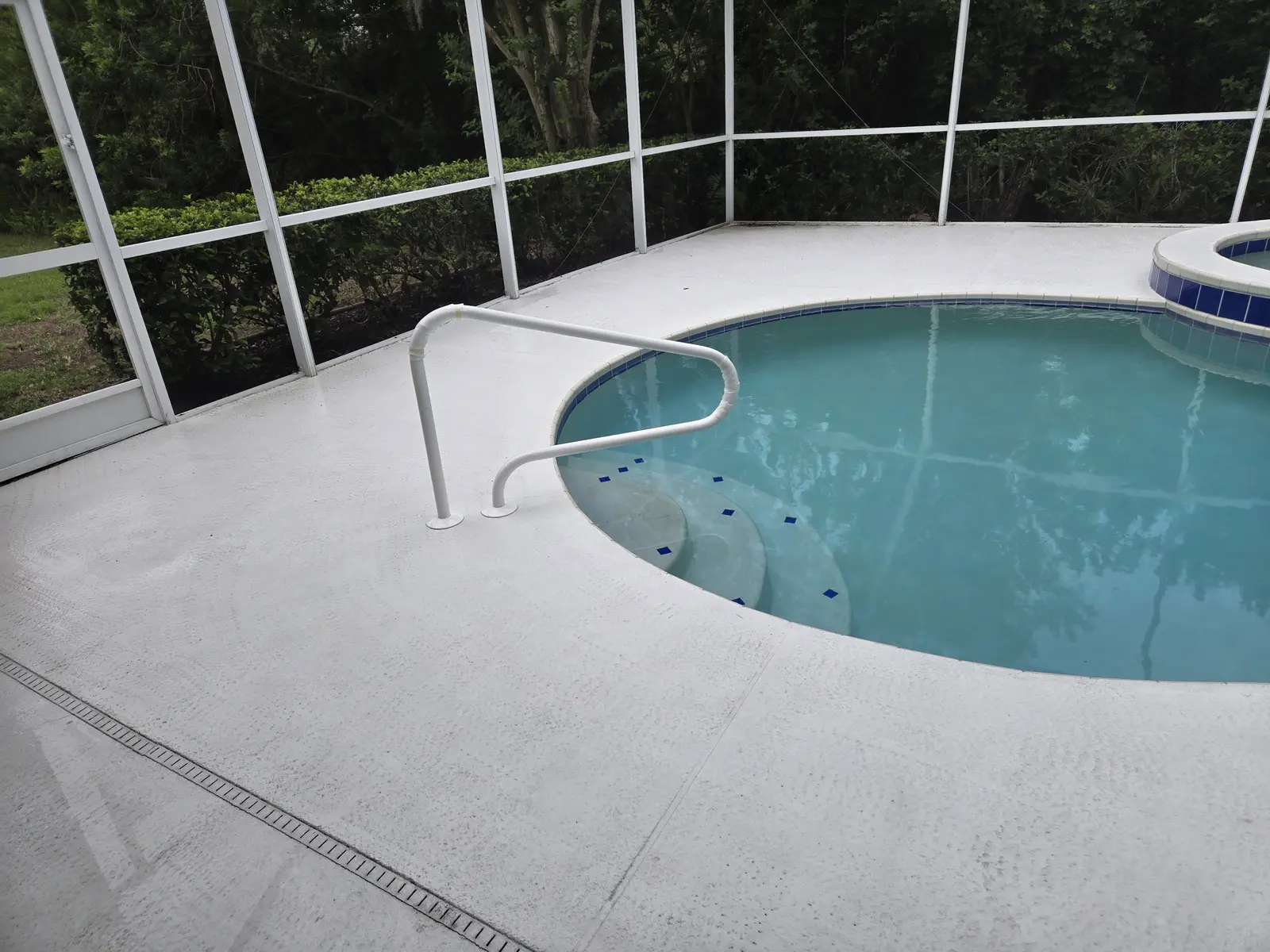 Sparkling clean pool and spa with white deck and screened enclosure overlooking trees - Leak Wizard, Tampa, FL