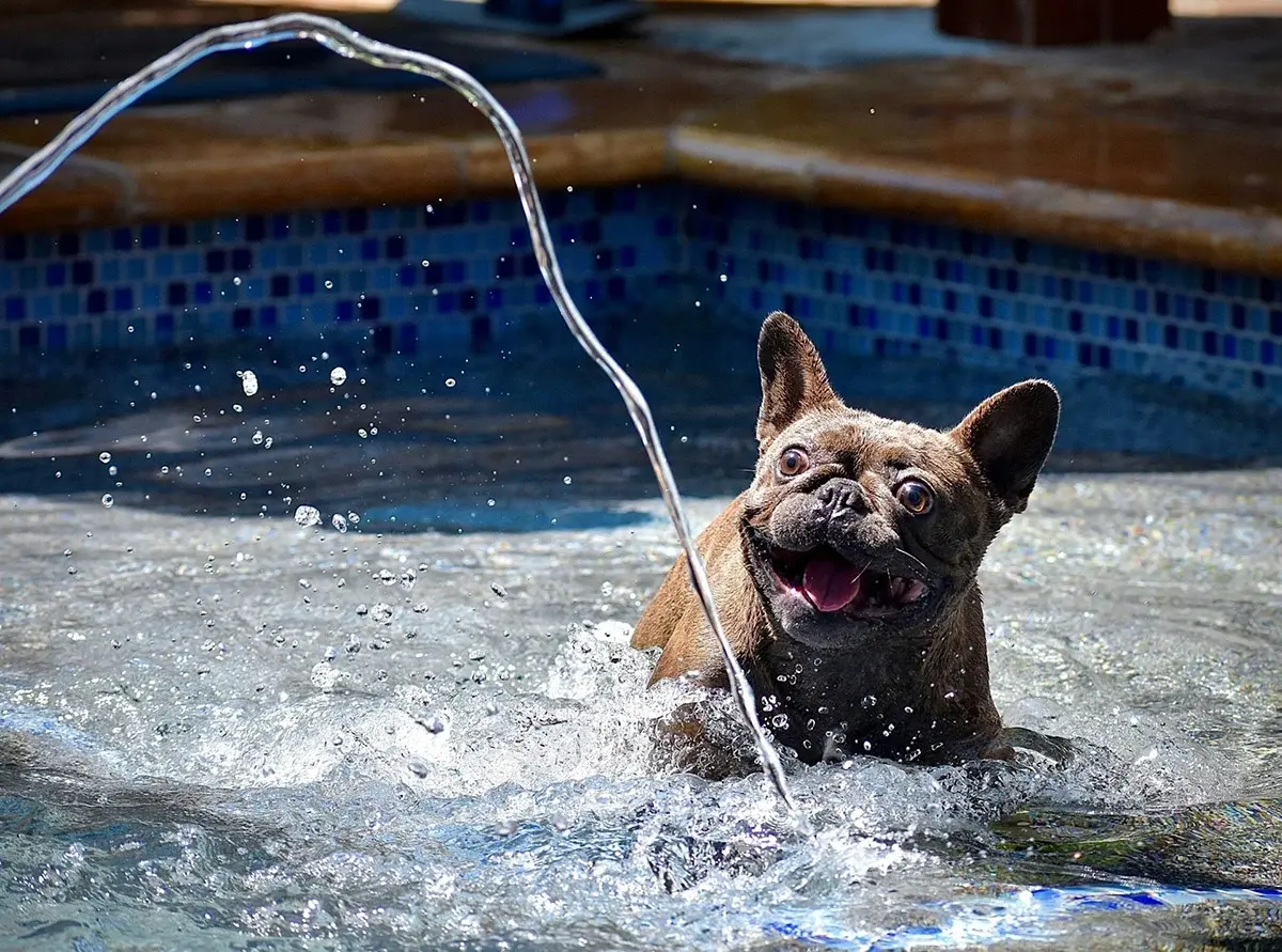 Pool service by Finn's Pool Services in West Palm Beach, FL