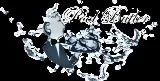 Pool Butler logo