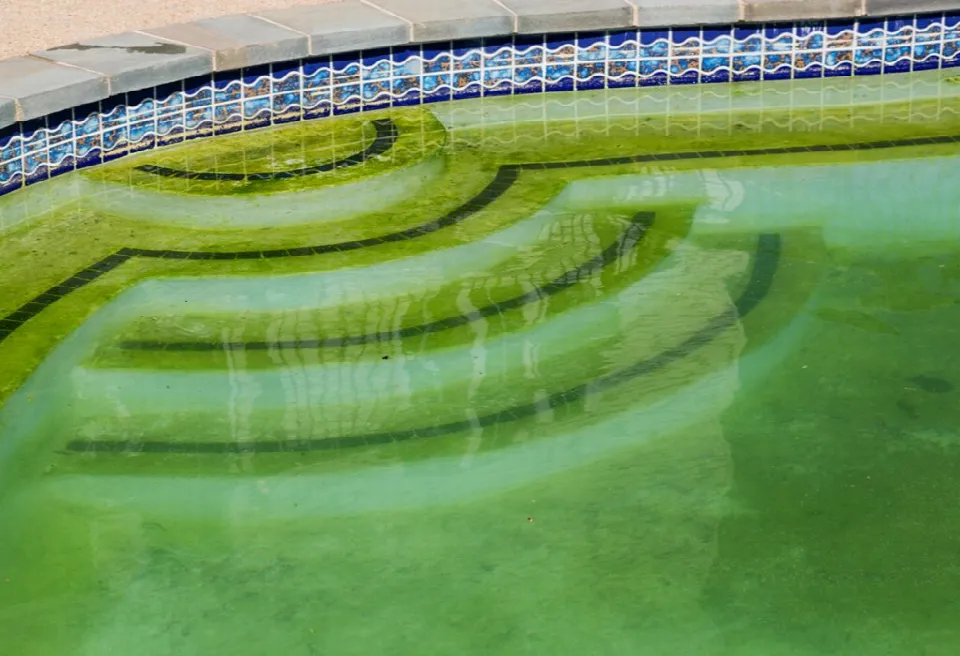 Pool Service Gilbert