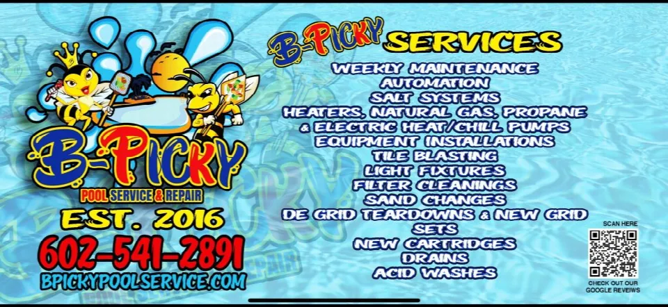 B PICKY POOL SERVICE LLC