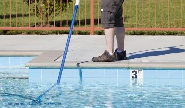 Pink Dolphin Pool Care