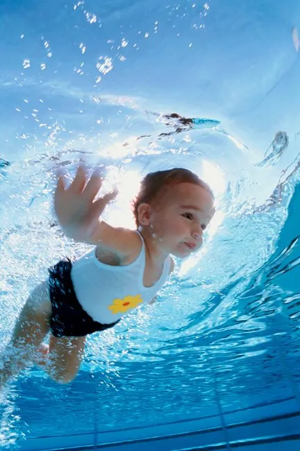 Dolphin Pool Maintenance