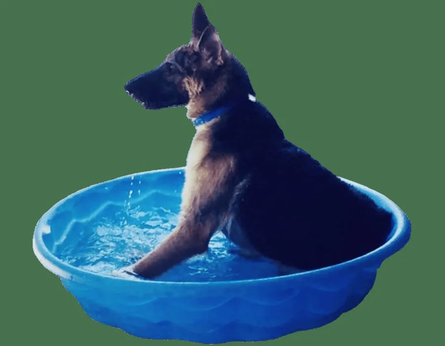Good Life Pool & Spa Care