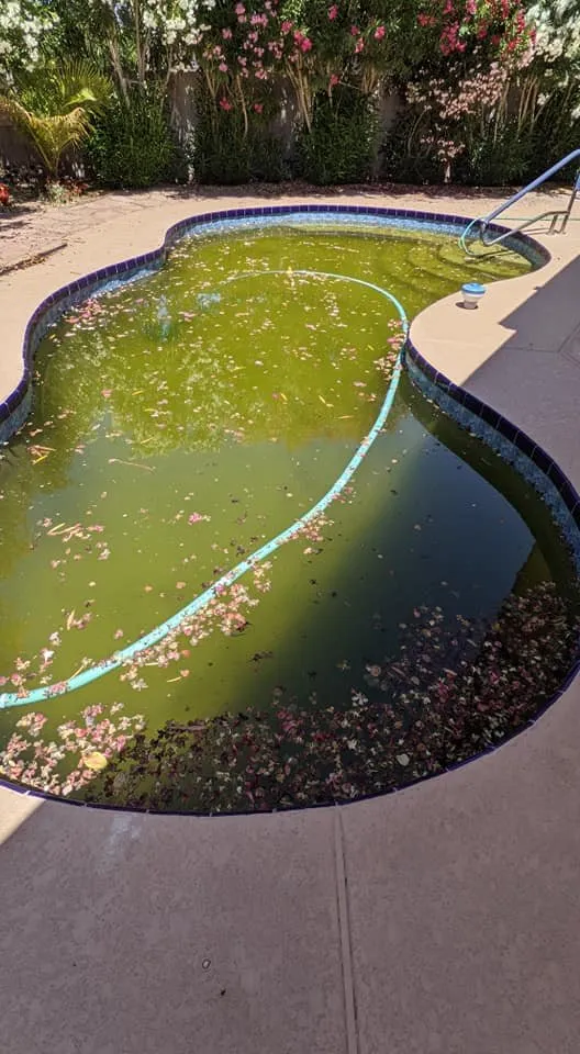 BigWave Pool Care