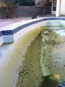 Clear Diamond Pool Care