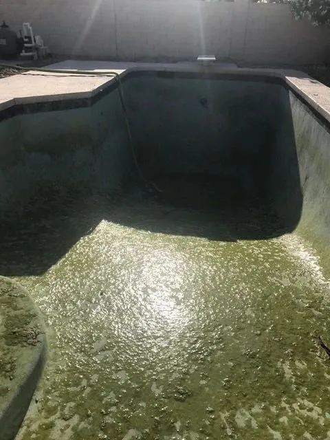 Clear Diamond Pool Care
