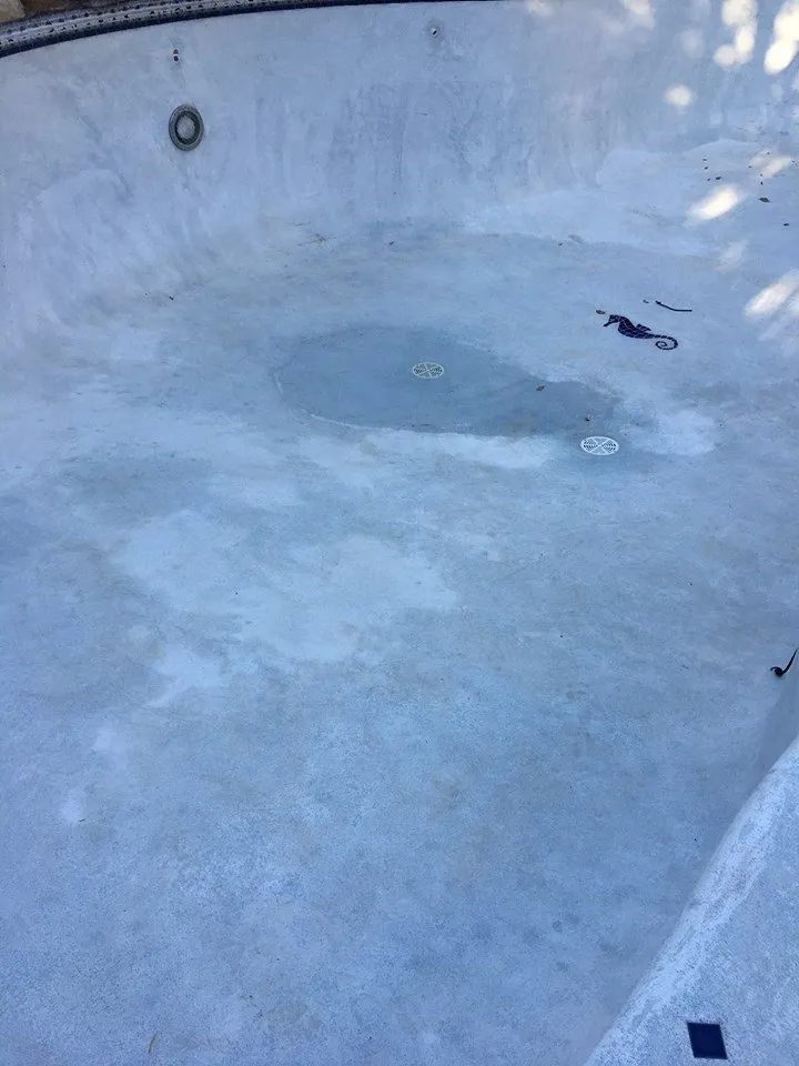 Nexus Pool Care